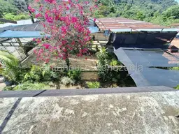 View 15
