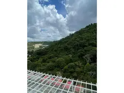 Vista 17