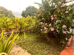 Vista 4