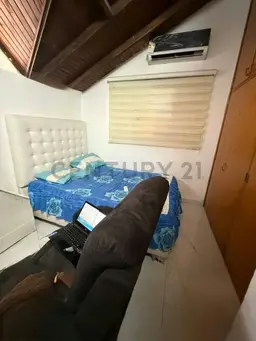 Vista 14