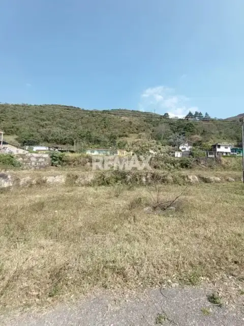 Parcela en Venta Palmira