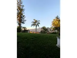 Vista 6