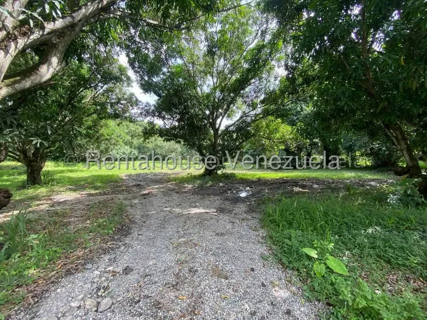 Terreno (Comercial) en Venta en Araure, Portuguesa - 20