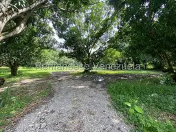 Vista 20