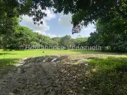 Vista 21
