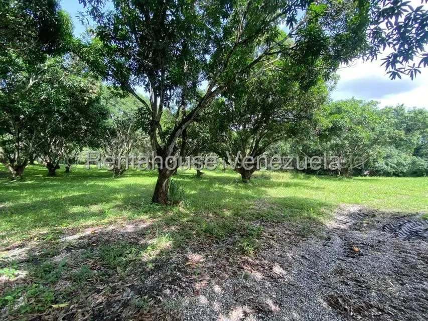 Terreno (Comercial) en Venta en Araure, Portuguesa - 37
