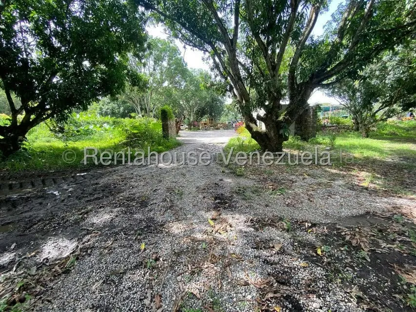 Terreno (Comercial) en Venta en Araure, Portuguesa - 40