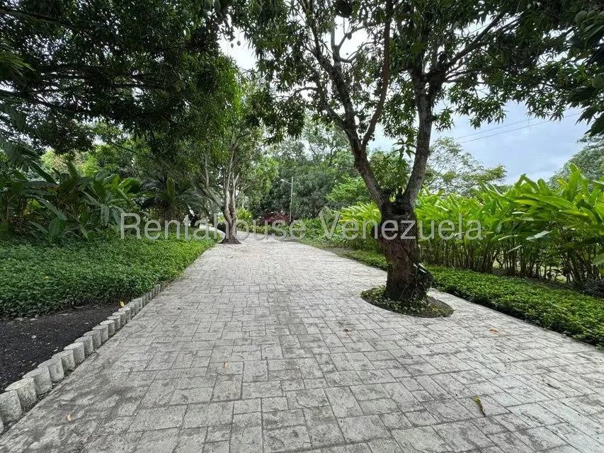 Terreno (Comercial) en Venta en Araure, Portuguesa - 46
