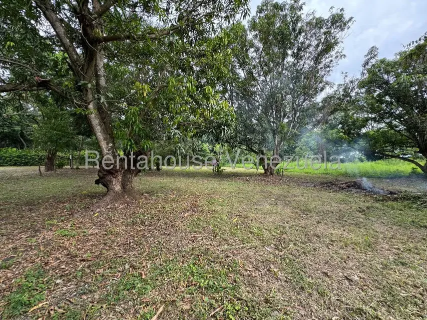 Terreno (Comercial) en Venta en Araure, Portuguesa - 47