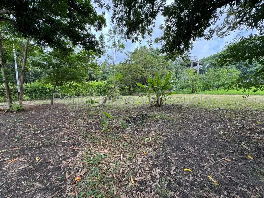 Terreno (Comercial) en Venta en Araure, Portuguesa - 48