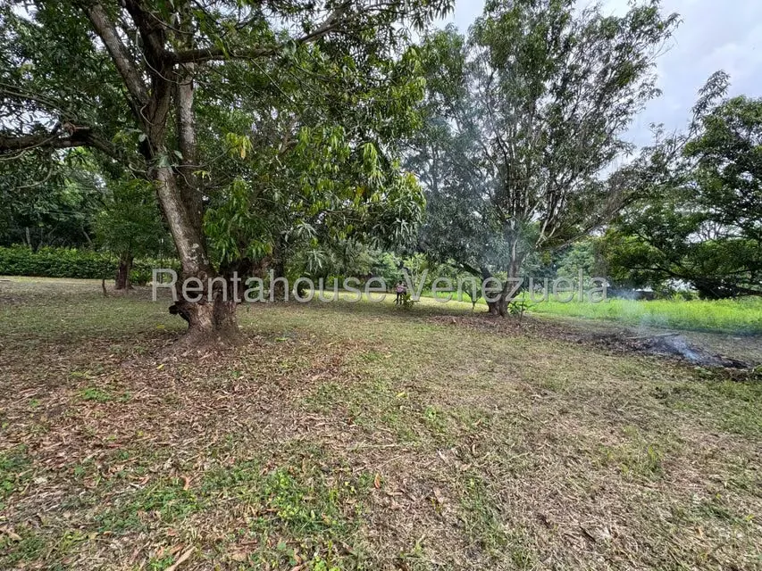 Terreno (Comercial) en Venta en Araure, Portuguesa - 6