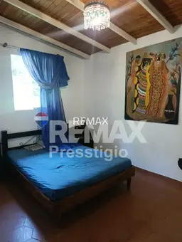 Vista 5