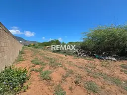 Vista 10