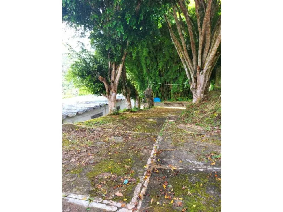 Vendo casa 600mts2 Plantacion de Cacao 5h/6b/10pe Los Guayabitos - 15