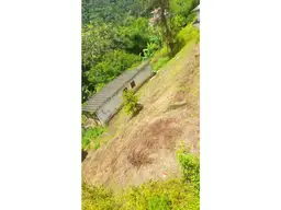Vista 19