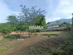 View 4