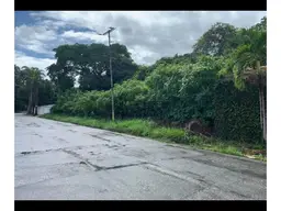 View 1