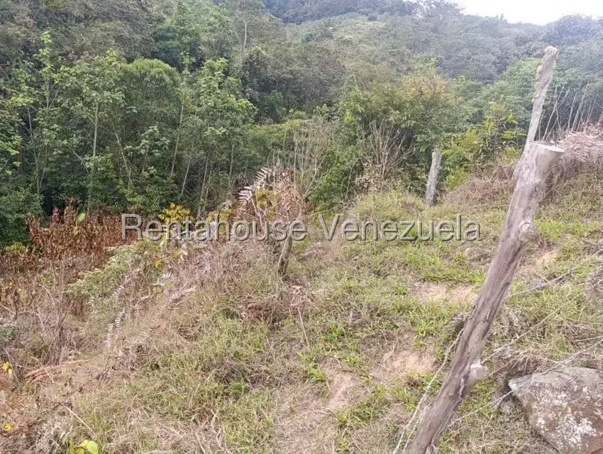 Terreno (Finca) en Venta en Tachira, Tachira - 2