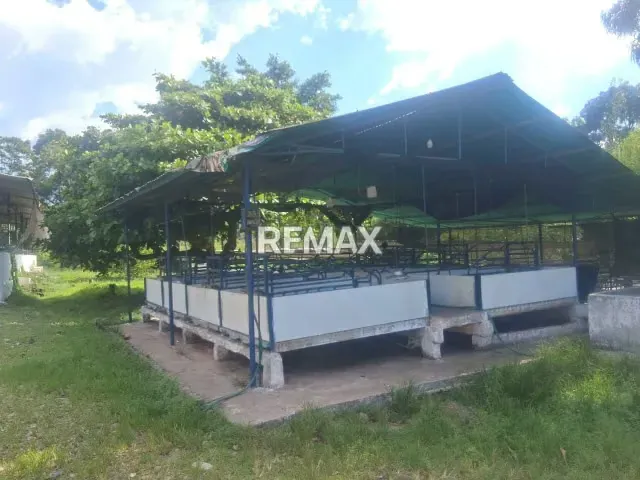 EN VENTA LOCAL COMERCIAL ALDE LA PALMITA LAS FLORES