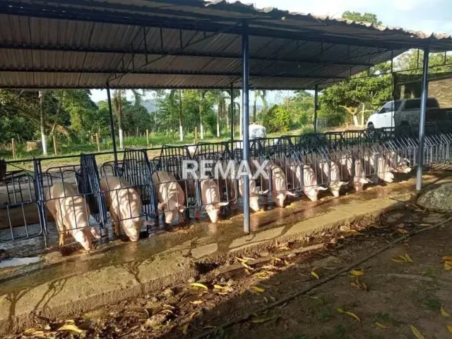 EN VENTA LOCAL COMERCIAL ALDE LA PALMITA LAS FLORES - 4
