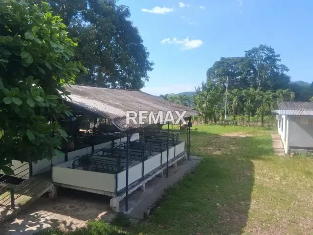 EN VENTA LOCAL COMERCIAL ALDE LA PALMITA LAS FLORES - 5