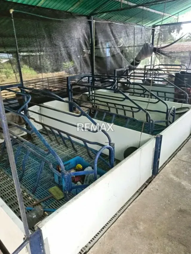 EN VENTA LOCAL COMERCIAL ALDE LA PALMITA LAS FLORES - 6