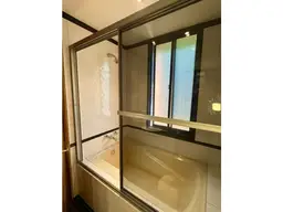 Vista 33