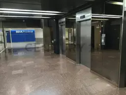 Vista 15