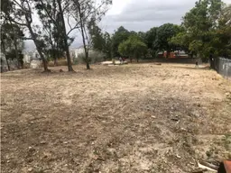 View 14