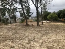View 10