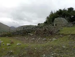 Vista 10