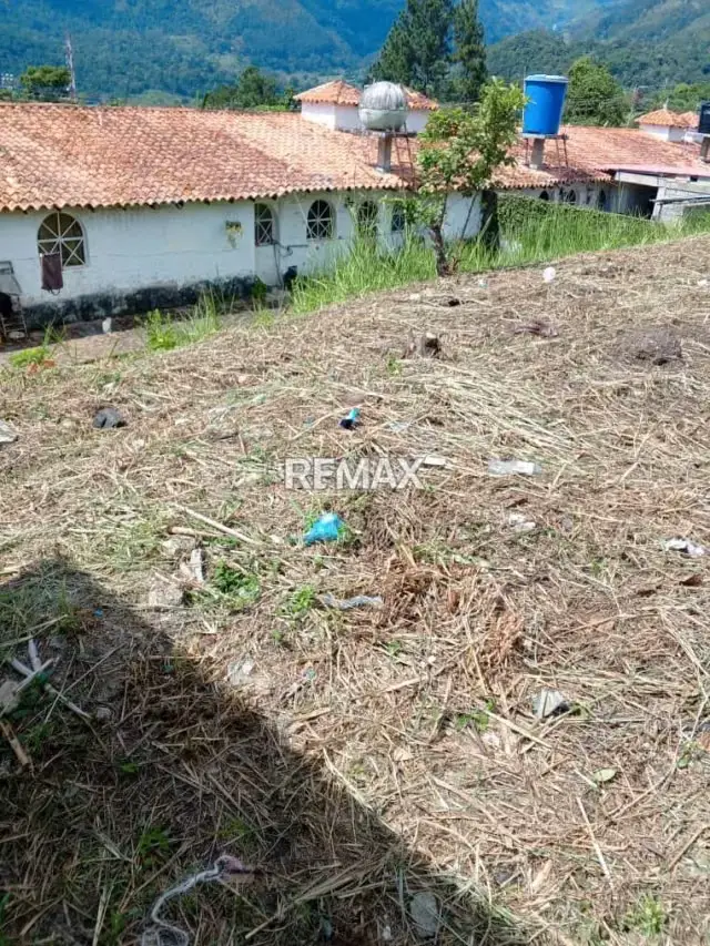 Venta de lote de terreno La Arcadia Urb El Bosque Escuque municipio Escuque Estado Trujillo