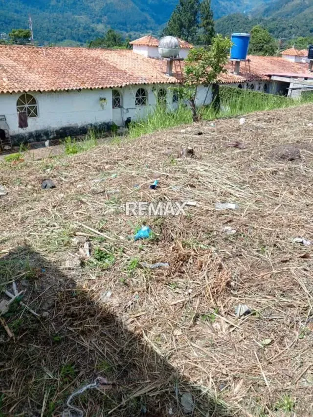 Venta de lote de terreno La Arcadia Urb El Bosque Escuque municipio Escuque Estado Trujillo