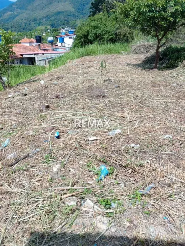 Venta de lote de terreno La Arcadia Urb El Bosque Escuque municipio Escuque Estado Trujillo - 2