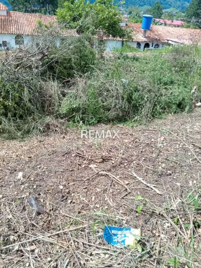 Venta de lote de terreno La Arcadia Urb El Bosque Escuque municipio Escuque Estado Trujillo - 3