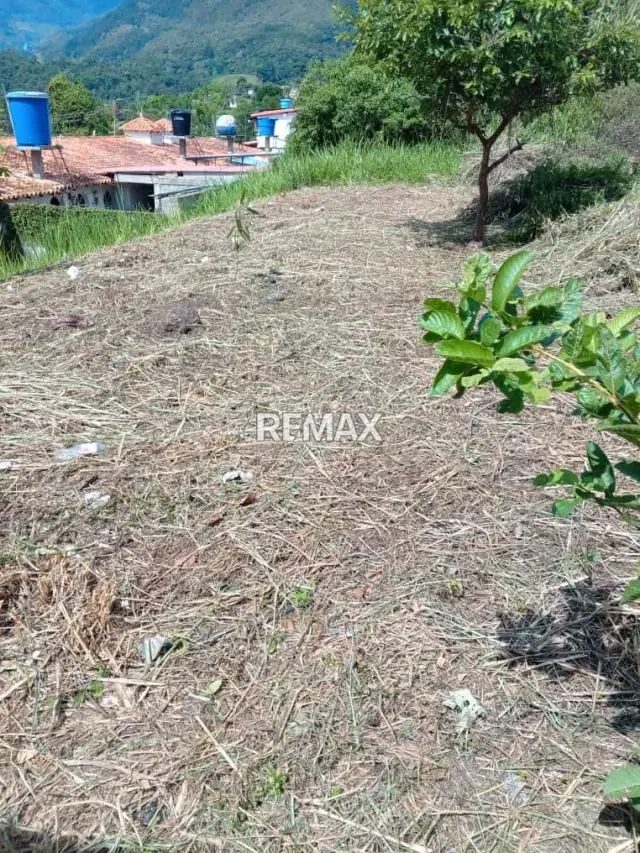 Venta de lote de terreno La Arcadia Urb El Bosque Escuque municipio Escuque Estado Trujillo - 4