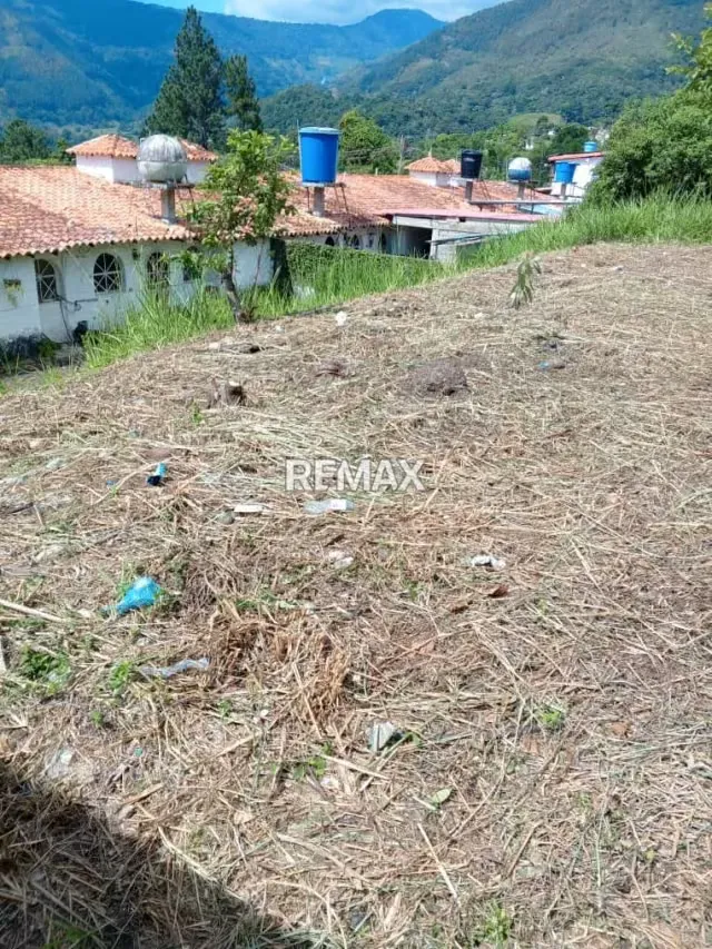 Venta de lote de terreno La Arcadia Urb El Bosque Escuque municipio Escuque Estado Trujillo - 5