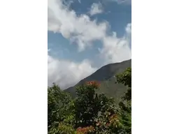 Vista 5