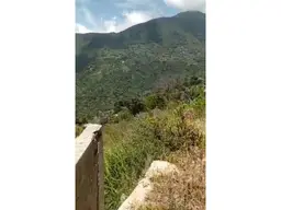 Vista 6