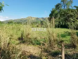 Vista 1