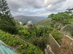 Vista 15