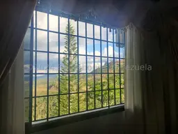 Vista 19
