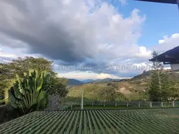 Vista 29