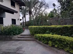 Vista 3