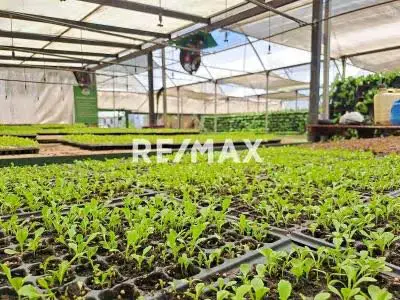 GRANJA DE HORTICULTURA Y TRANSPORTE DE AGUA