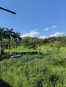 Vista 12