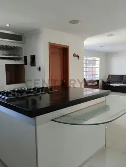 Vista 3