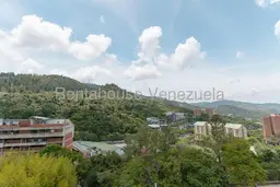 Vista 16