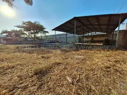 Vista 46