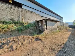 Vista 51